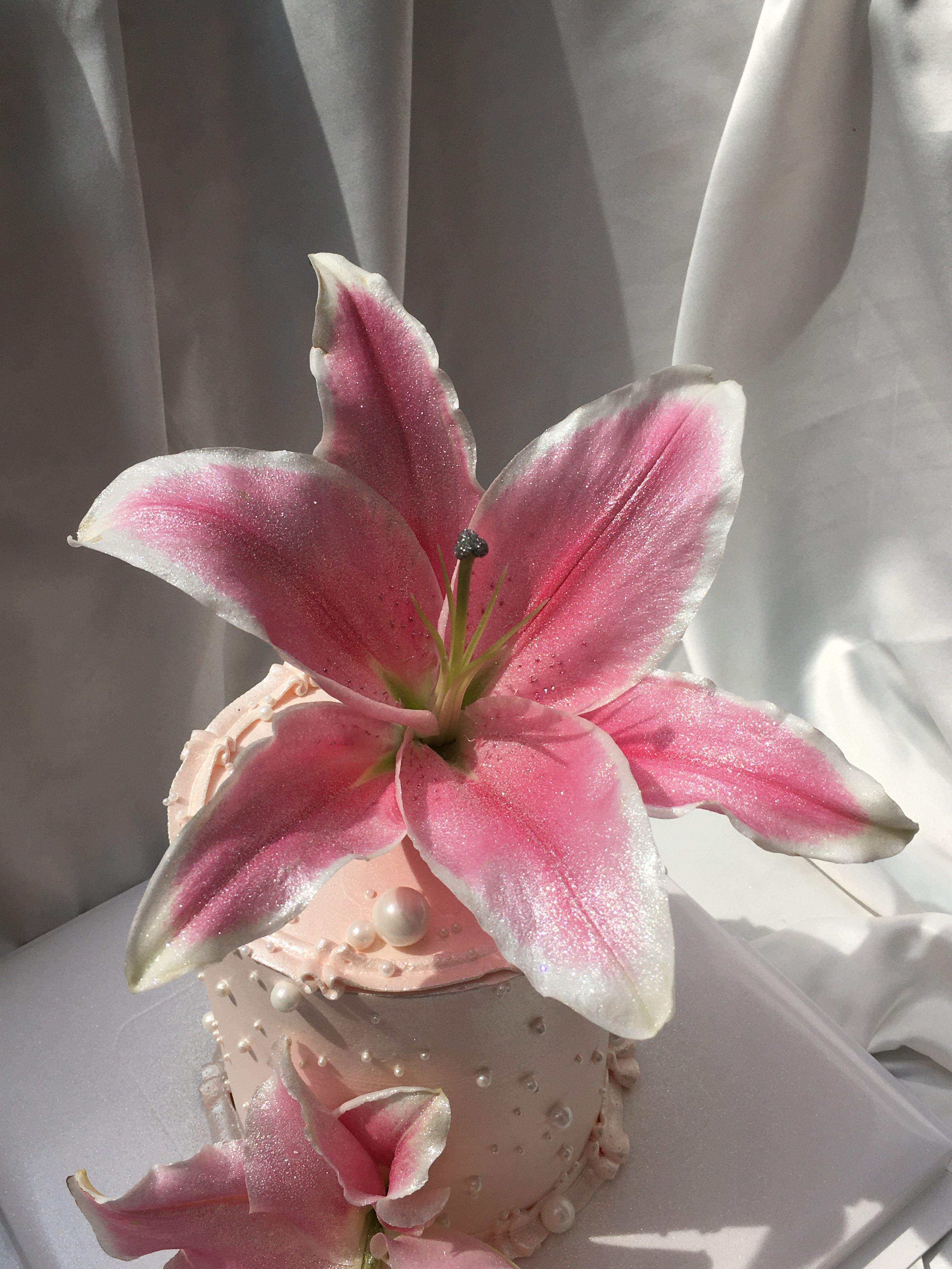 The Double Lily