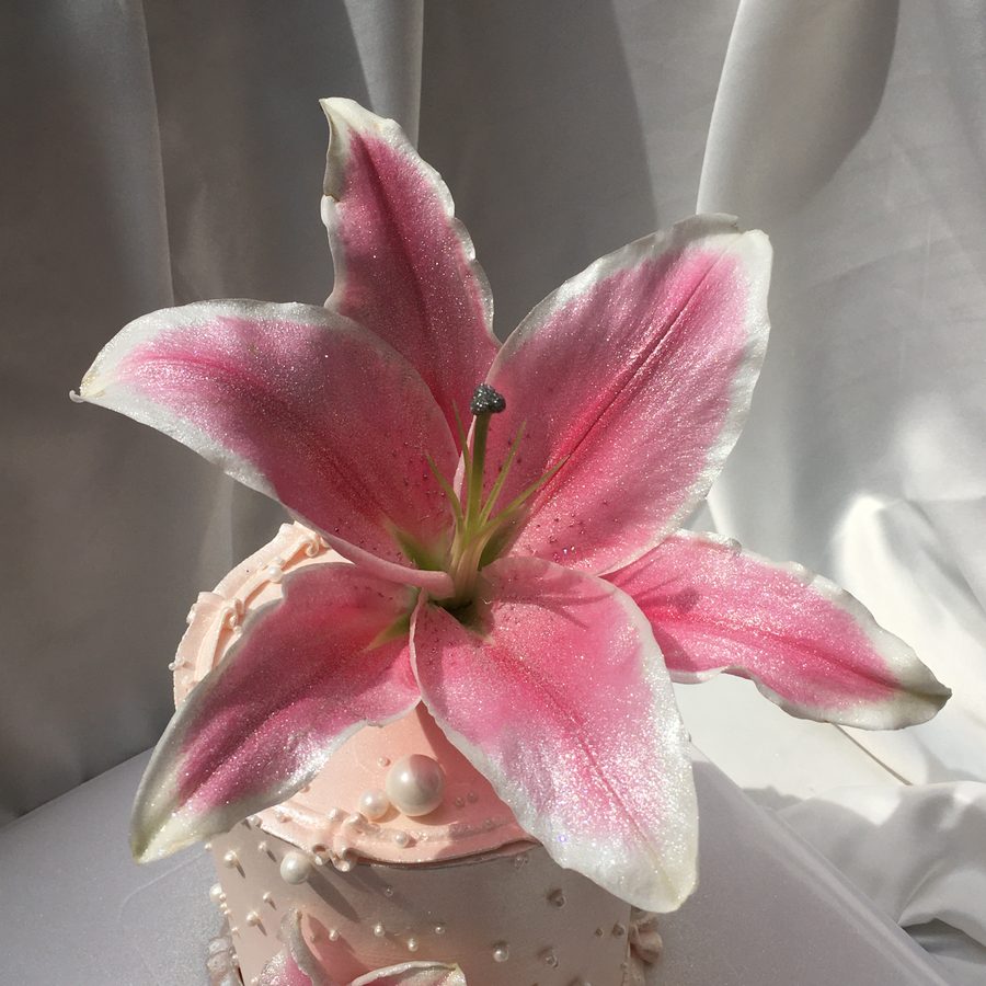 The Double Lily