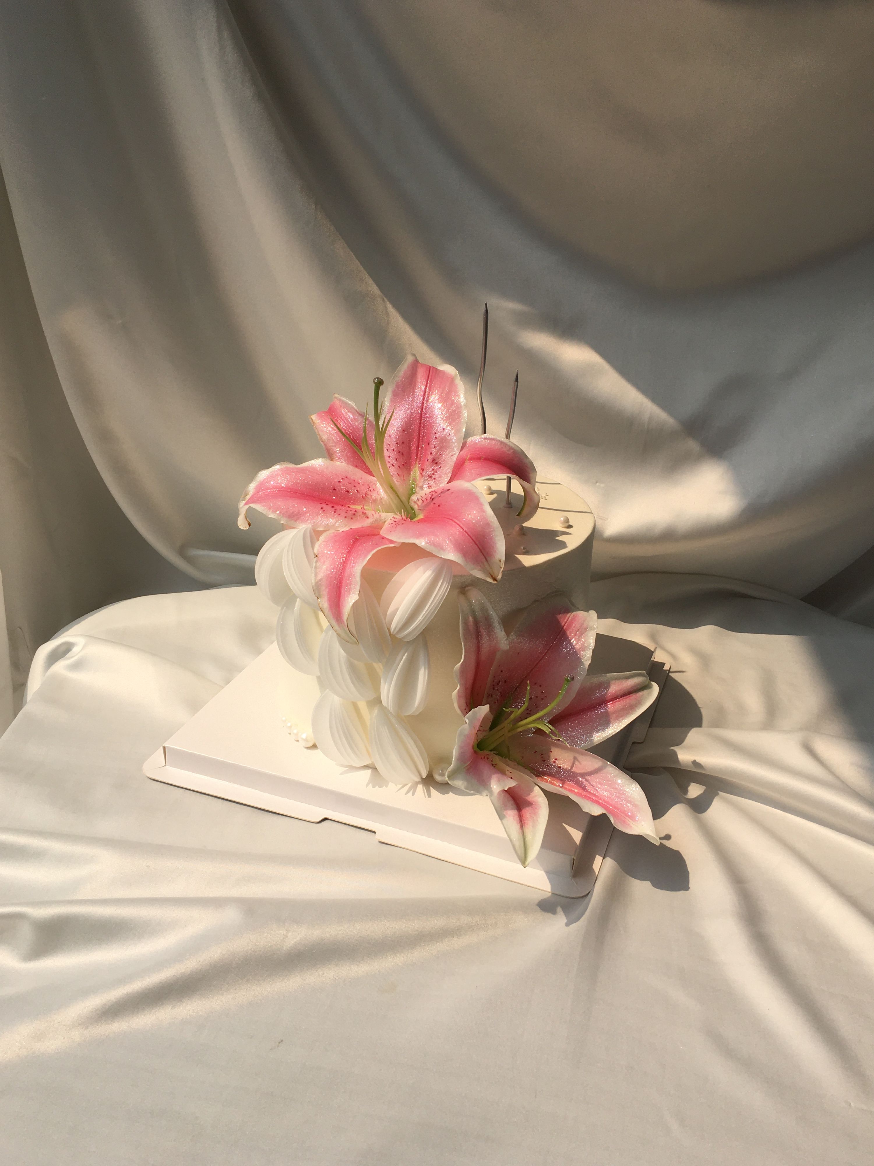 Lily Fold
