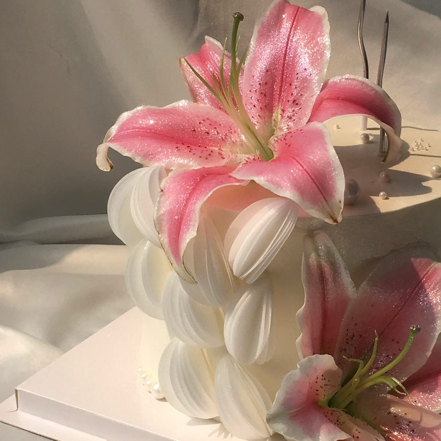 Lily Fold